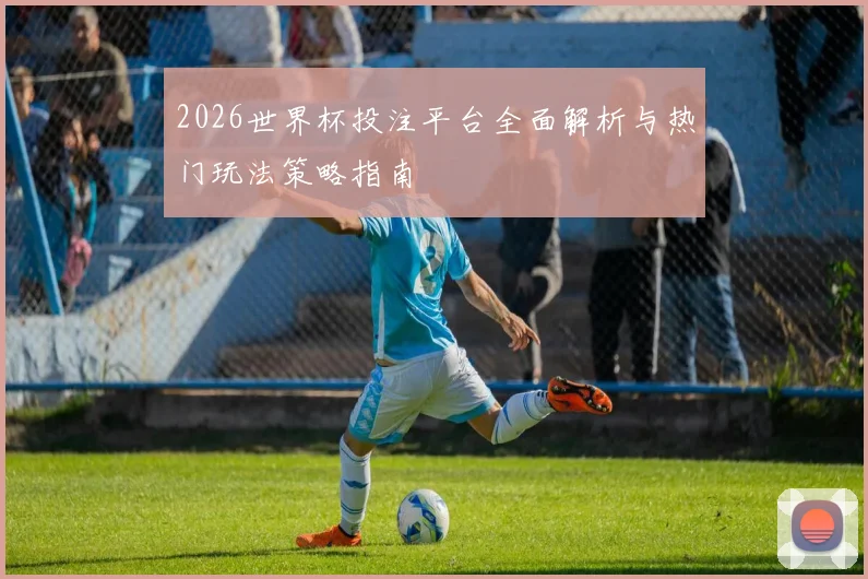 2026世界杯投注平台全面解析与热门玩法策略指南