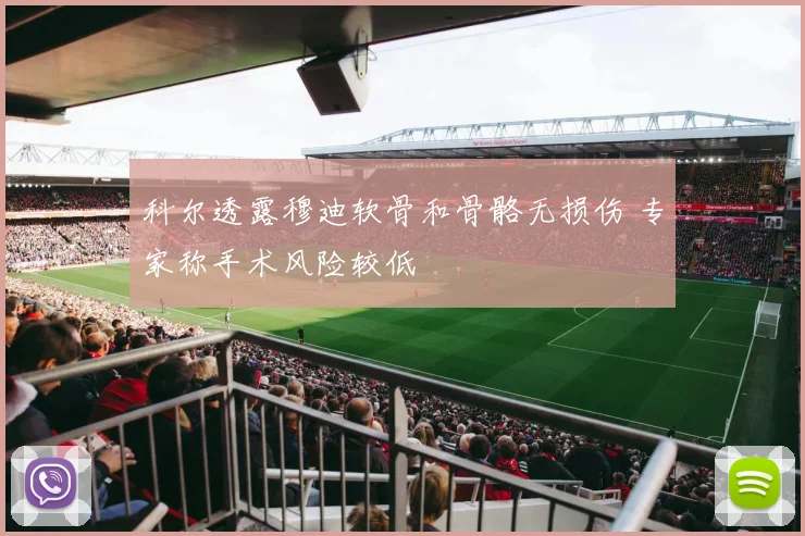 科尔透露穆迪软骨和骨骼无损伤 专家称手术风险较低